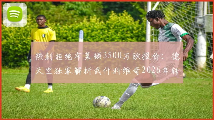 热刺拒绝布莱顿3500万欧报价：德天空独家解析武什科维奇2026年转会动态与市场价值