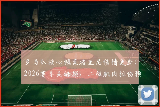 罗马队核心佩莱格里尼伤情更新:2026赛季关键期,二级肌肉拉伤预计缺阵一个月影响分析