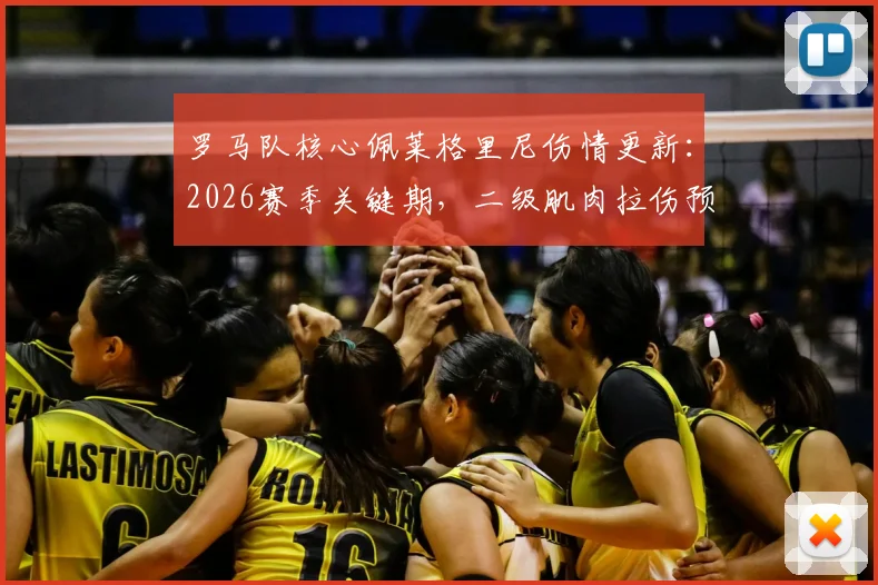 罗马队核心佩莱格里尼伤情更新：2026赛季关键期，二级肌肉拉伤预计缺阵一个月影响分析